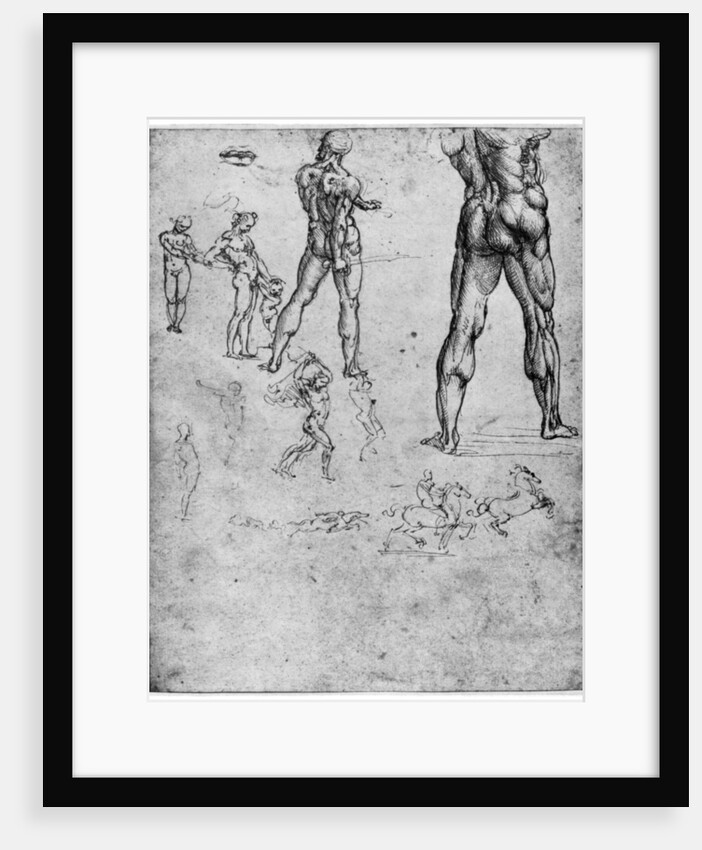 Nude studies for 'The Battle of Anghiari' by Leonardo Da Vinci