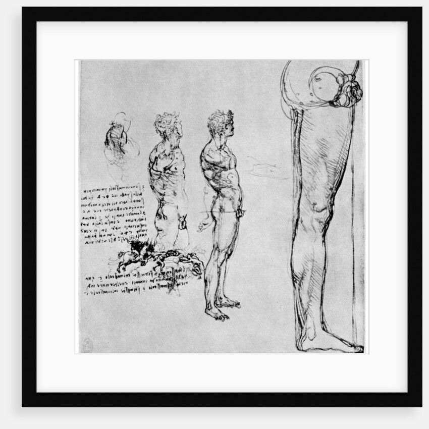 Nude studies for 'The Battle of Anghiari' by Leonardo Da Vinci