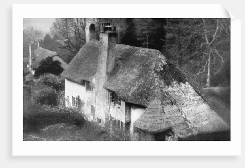 Cottage, Selworthy, Somerset by Emil Otto Hoppe