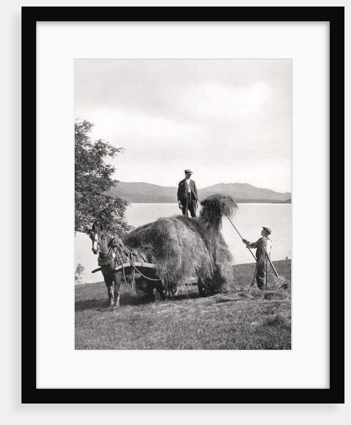 Loading hay onto a wagon on the shores of Loch Lomond, Scotland by Donald McLeish