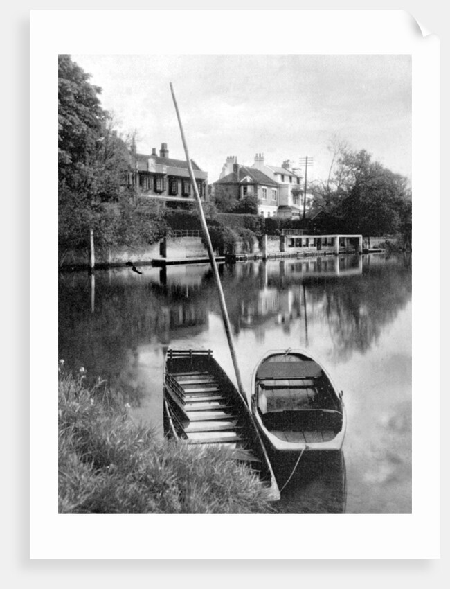 The Thames near Weybridge, Surrey, England by Anonymous