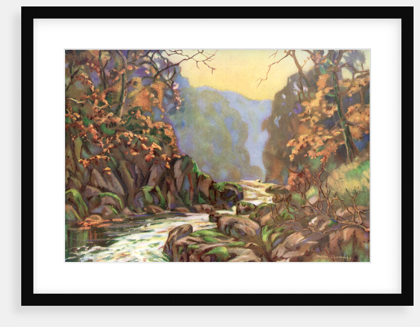 'On the Dargle, County Wicklow', Ireland by Catharine Chamney