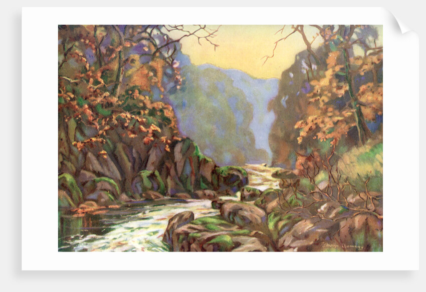 'On the Dargle, County Wicklow', Ireland by Catharine Chamney