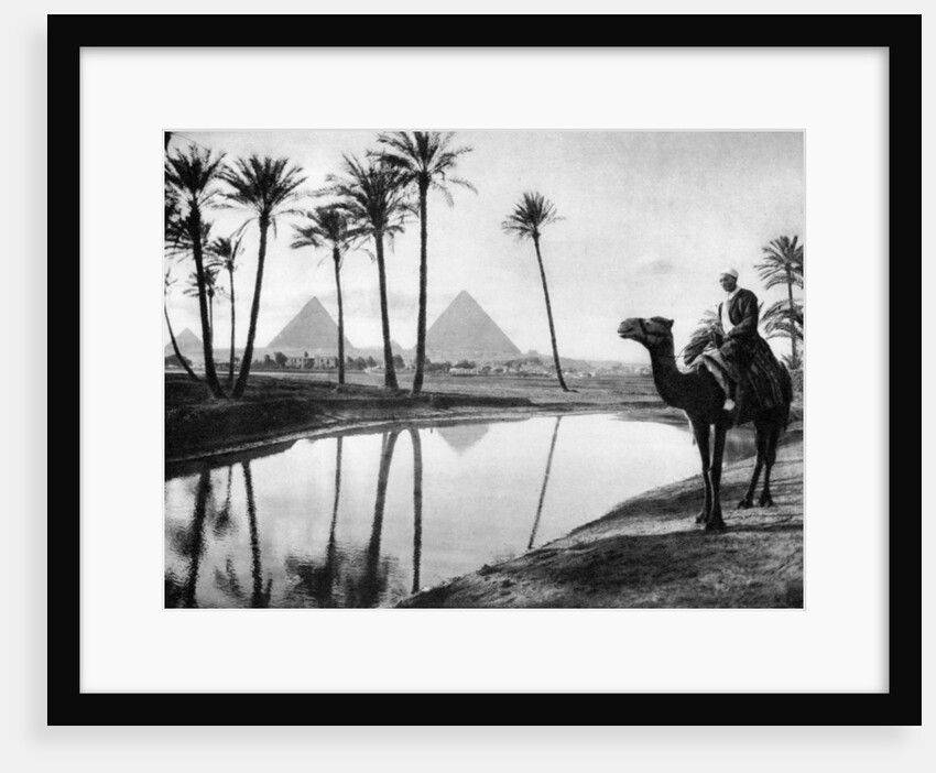An oasis near Cairo, Egypt by Anonymous