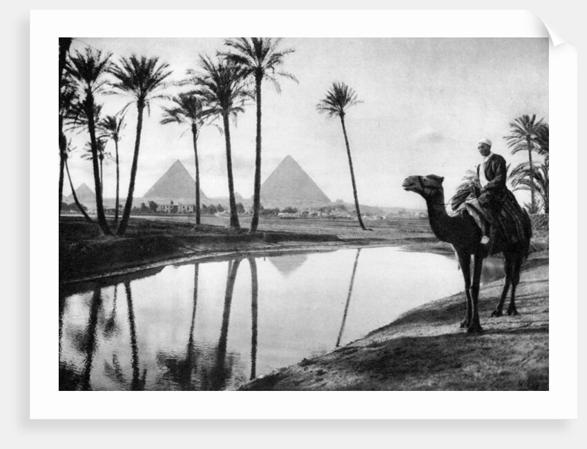 An oasis near Cairo, Egypt by Anonymous