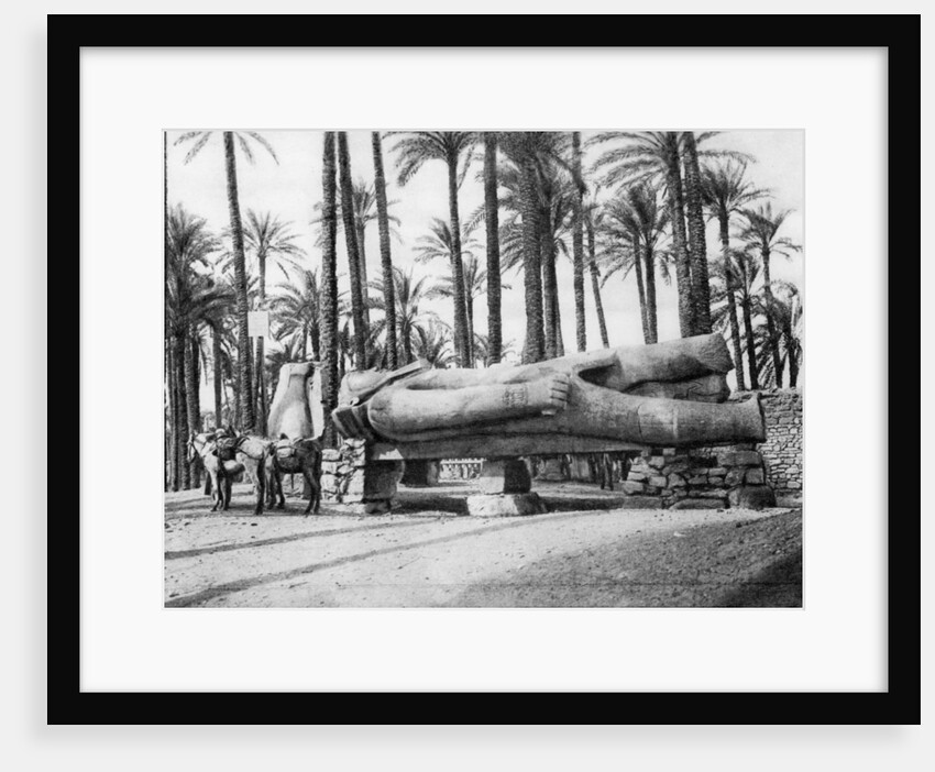 The Statue of Rameses II, Cairo, Egypt by Anonymous