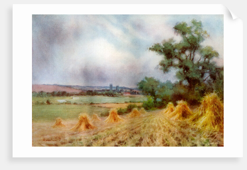 Canterbury from Sturry Wood, Kent by A Montague Rivers