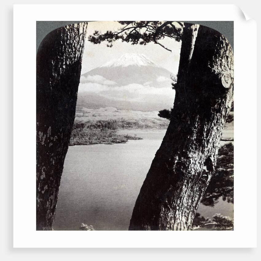 Mount Fuji, seen from the northwest, through pines at Lake Motosu, Japan by Underwood & Underwood