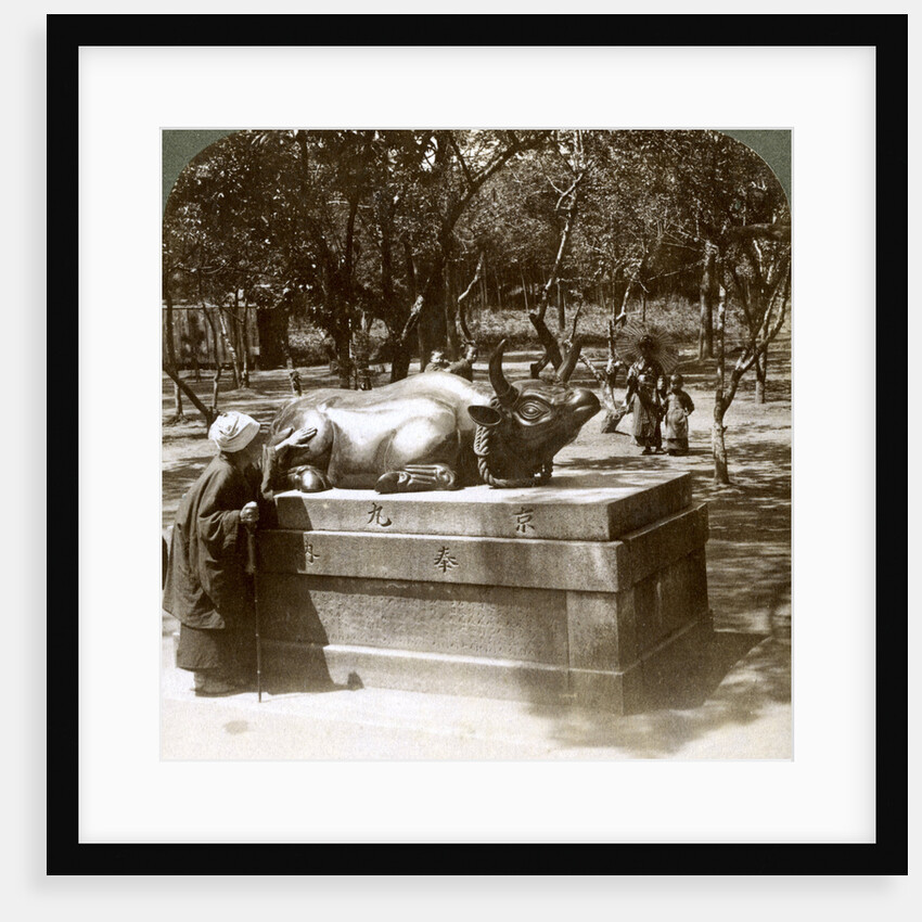 Devout woman stroking a bronze bull to cure rheumatism, Kitano Tenjin temple, Kyoto, Japan by Underwood & Underwood