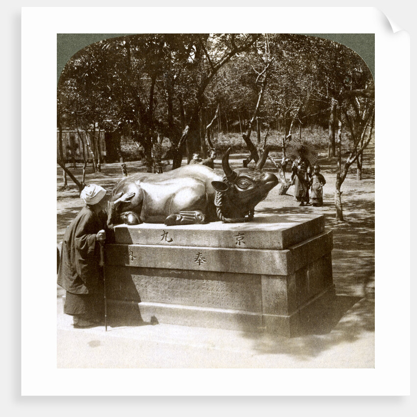 Devout woman stroking a bronze bull to cure rheumatism, Kitano Tenjin temple, Kyoto, Japan by Underwood & Underwood