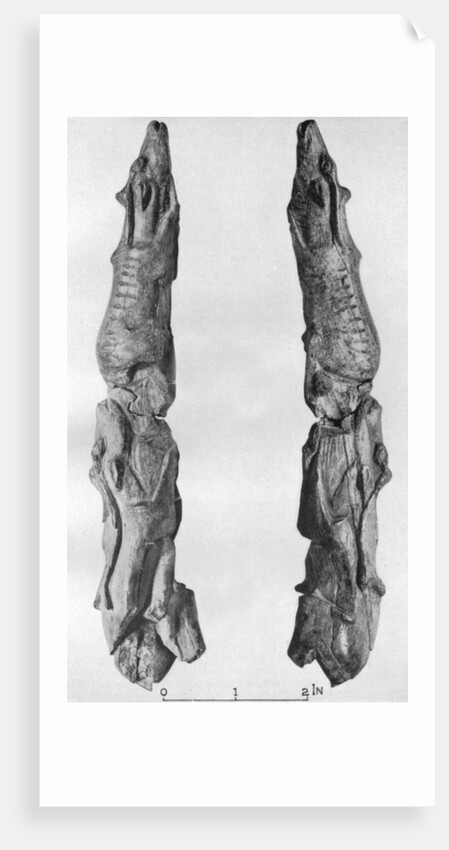 Point of mammoth tusk carved with reindeer, from Montastruc, Bruniquel, France by Anonymous