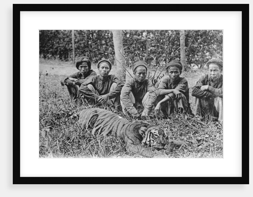 Tiger hunters, Tonkin, Vietnam by Anonymous