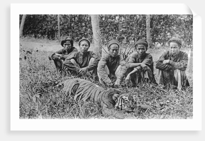 Tiger hunters, Tonkin, Vietnam by Anonymous