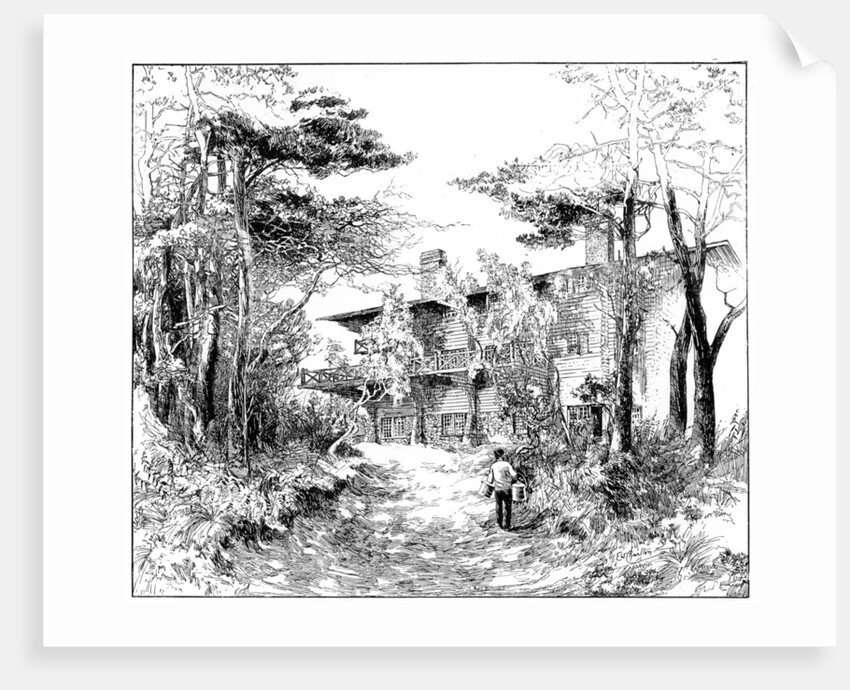 The log house 'Idaho', near Ringwood, Hampshire by Edward William Charlton