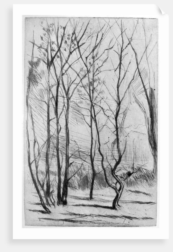 The Dam Wood by James Abbott McNeill Whistler