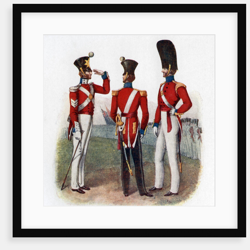 Uniform of the 86th Regiment by Anonymous