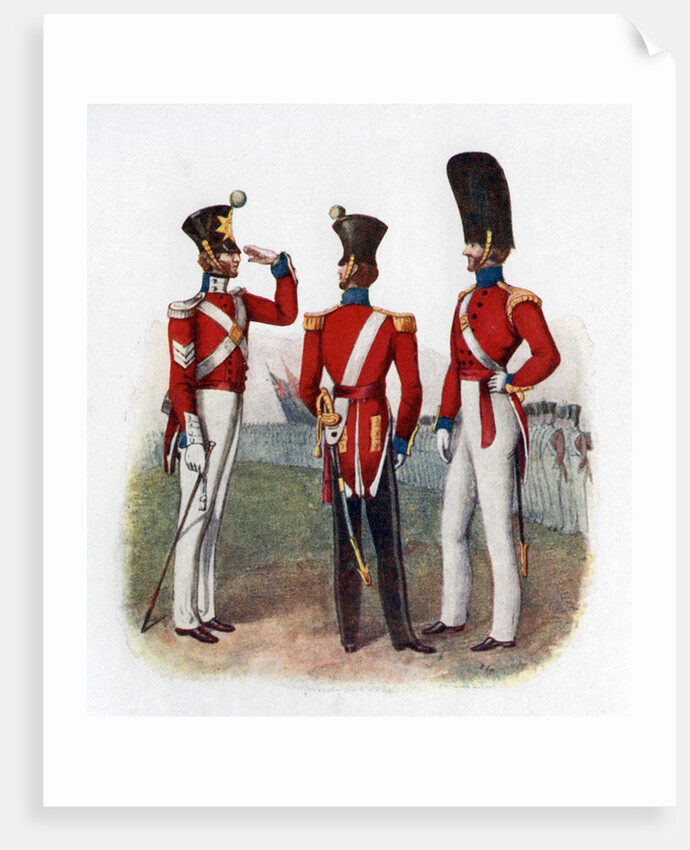 Uniform of the 86th Regiment by Anonymous