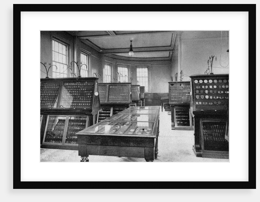 The Museum, the Royal Mint, Tower Hill, London by Anonymous