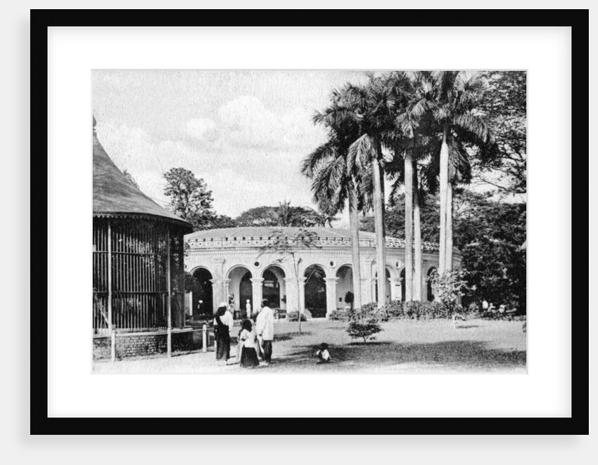 View in the Zoological Gardens, Calcutta, India by Anonymous