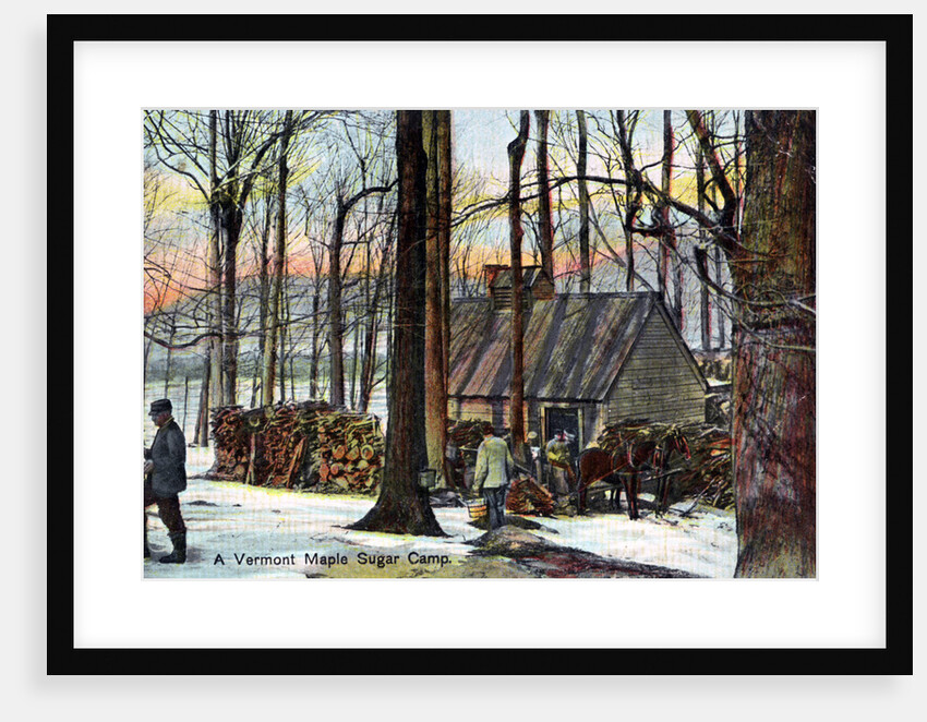 A Vermont maple sugar camp, USA by Anonymous