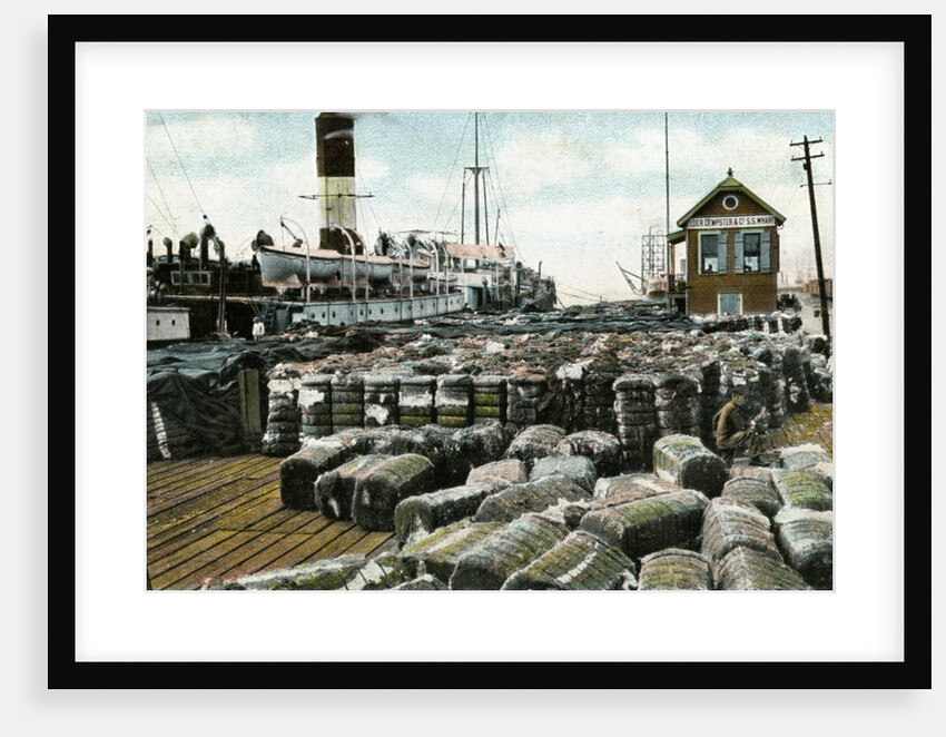 Cotton wharves, New Orleans, Louisiana, USA by Anonymous