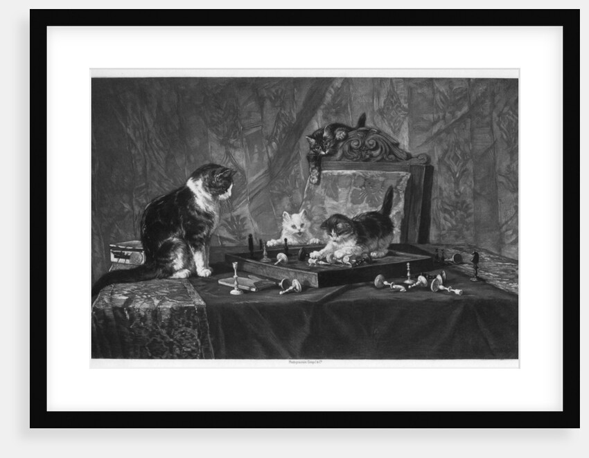 Cats playing with a chessboard by Goupil and Co