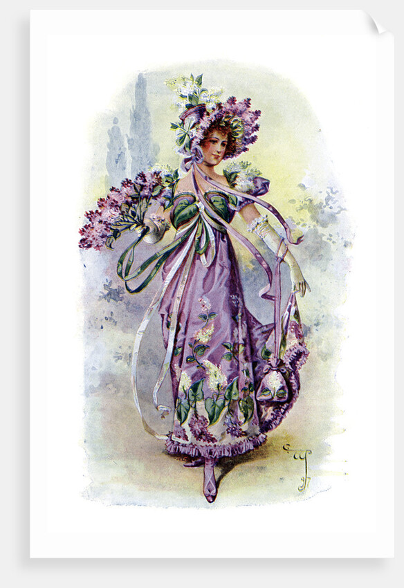 The Lilac by Anonymous