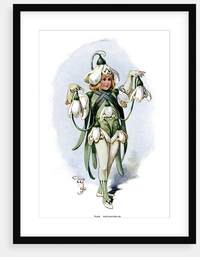 The Snowdrop by Anonymous