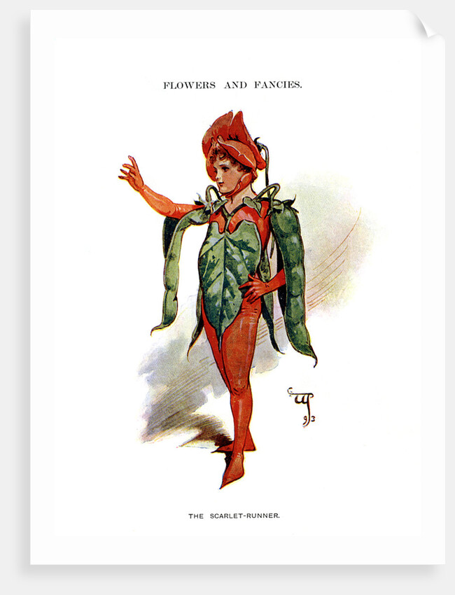 The Scarlet Runner by Anonymous