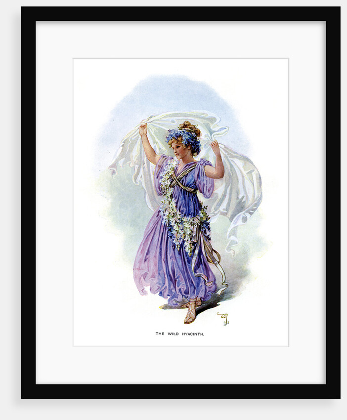 The Wild Hyacinth by Anonymous