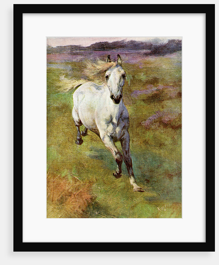 Study from Life for 'Colt Hunting in the New Forest' by Anonymous