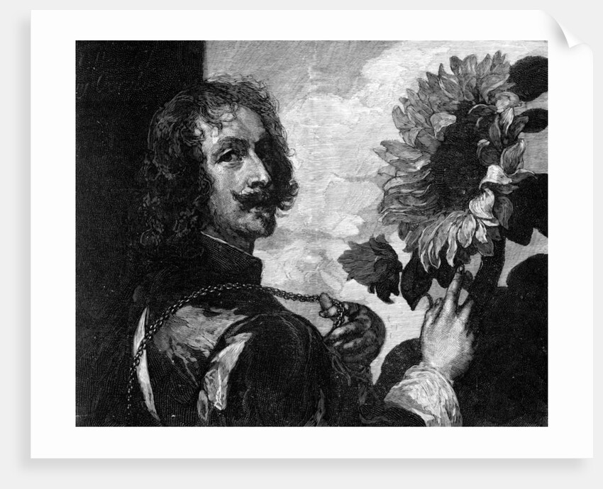 Anthony van Dyck, self-portrait with a sunflower by OL Lacour