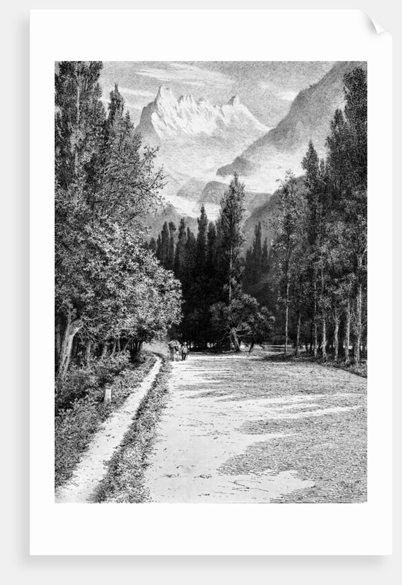 The Dent du Midi from the Valley of the Rhone by Anonymous