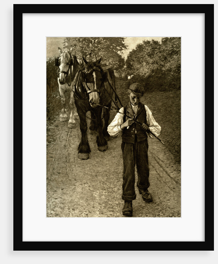The Plough Boy by Anonymous