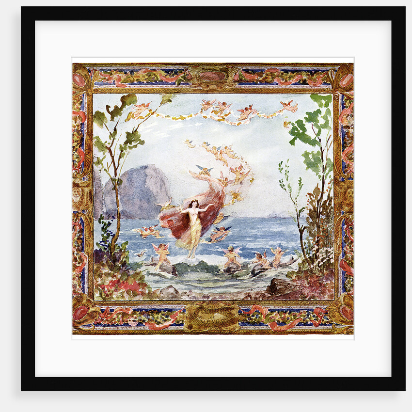 The Birth of Venus by Anonymous