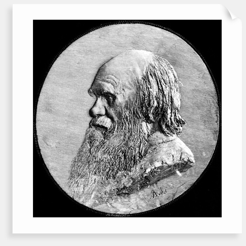 Charles Darwin by Anonymous