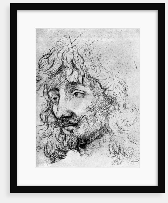 Study of a Head by Anonymous