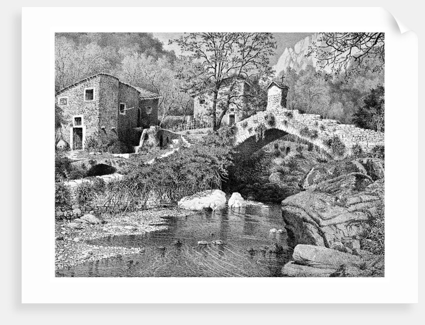 On the Road to Ceriana, San Remo by Anonymous