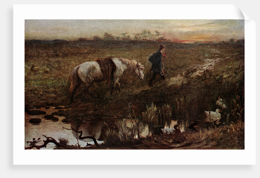 The Cast Shoe by Anonymous