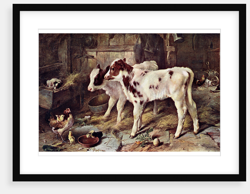 The Dog in the Manger by Anonymous