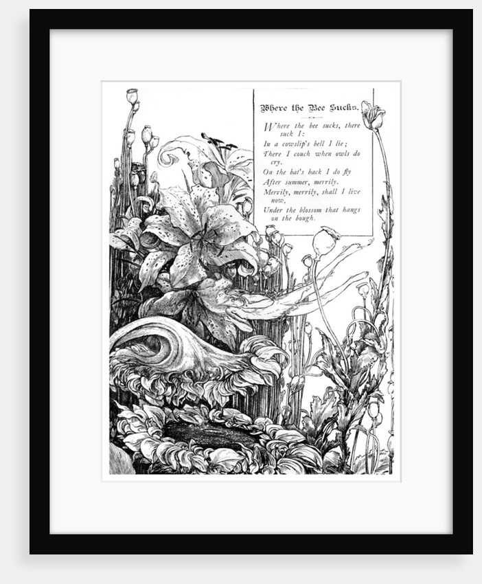 Where the Bee Sucks by Anonymous