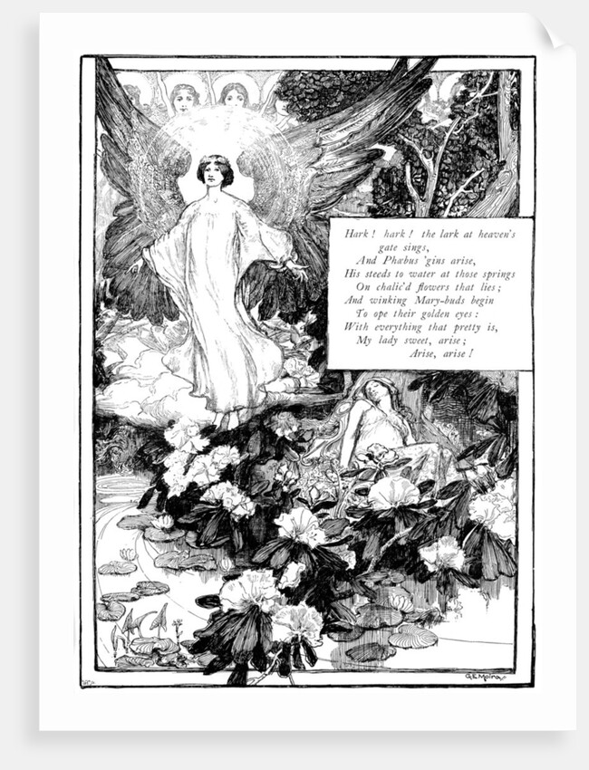 Hark! The Lark by Anonymous