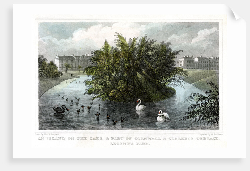 Island on the lake and Part of Cornwall and Clarence Terraces, Regent's Park, London by William Tombleson