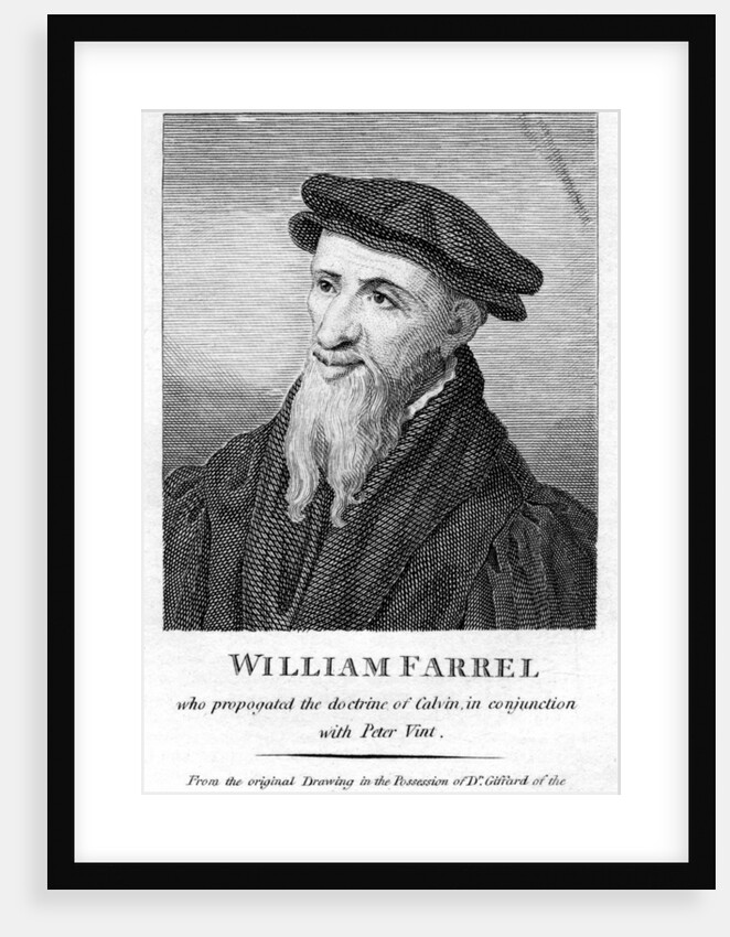 William Farel, 16th century French evangelist by Anonymous