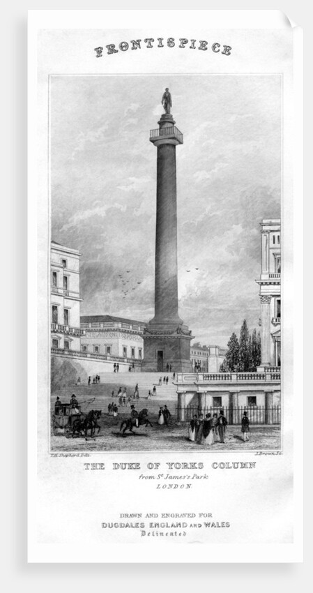The Duke of York's Column from St James's Park, Westminster, London by Anonymous
