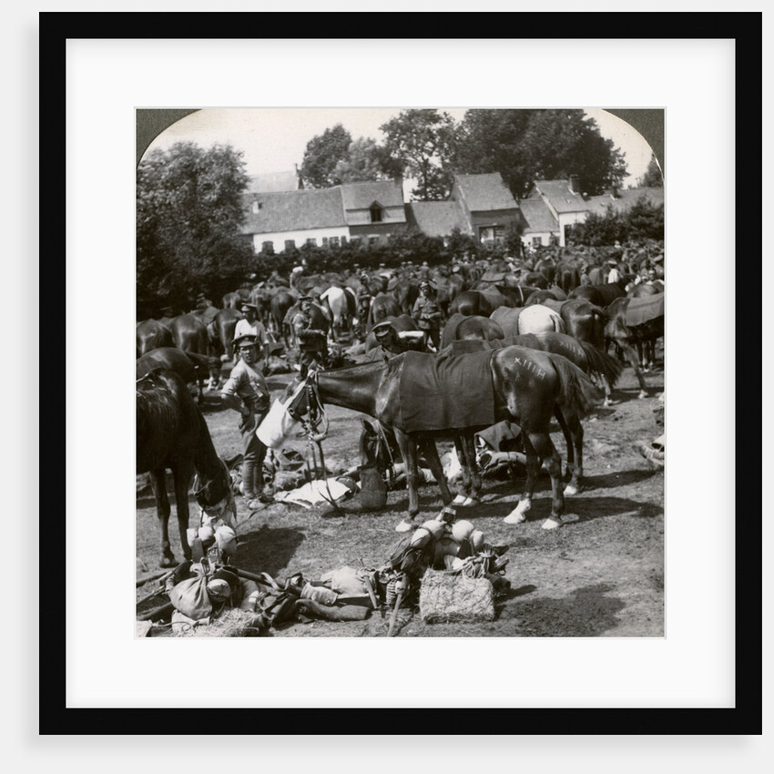 Troops feeding their horses and resting on the march, World War I by Realistic Travels Publishers