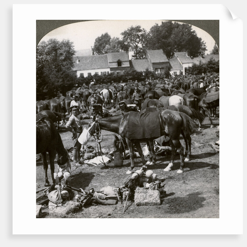 Troops feeding their horses and resting on the march, World War I by Realistic Travels Publishers