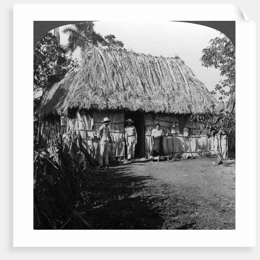 A home in the interior of the island of Cuba by HC White