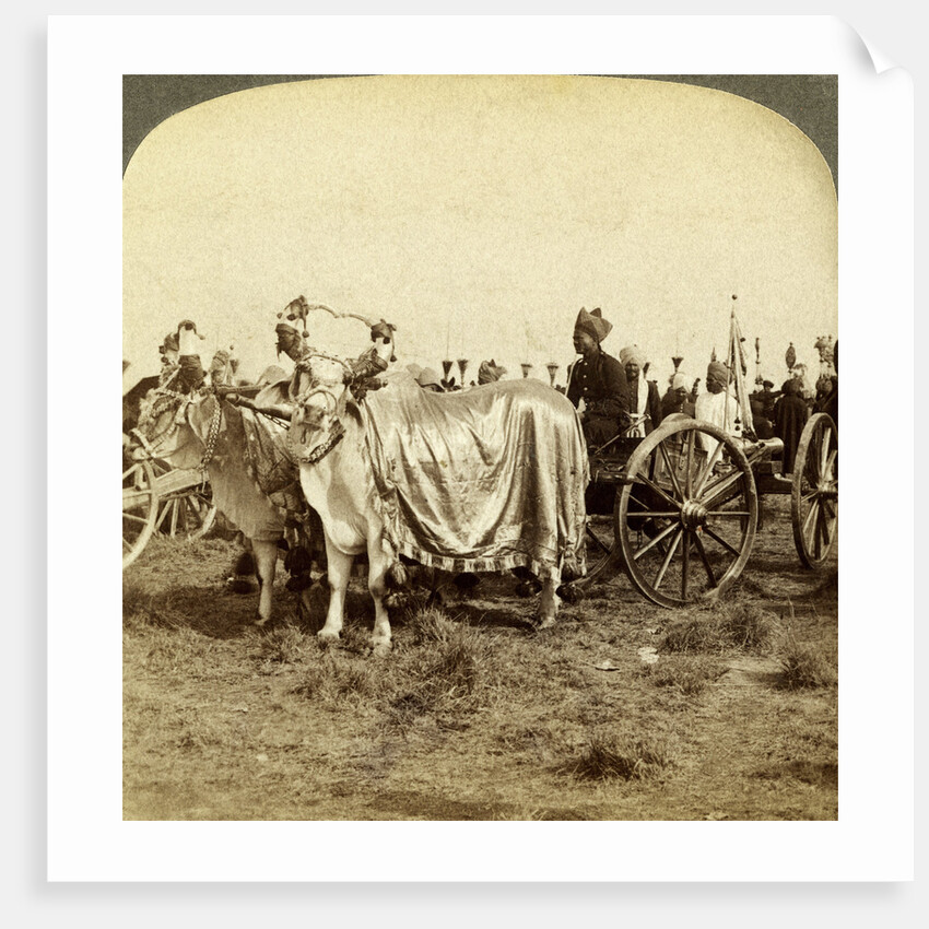 Silver cannon of the Maharaja of Baroda, Delhi, India by Underwood & Underwood