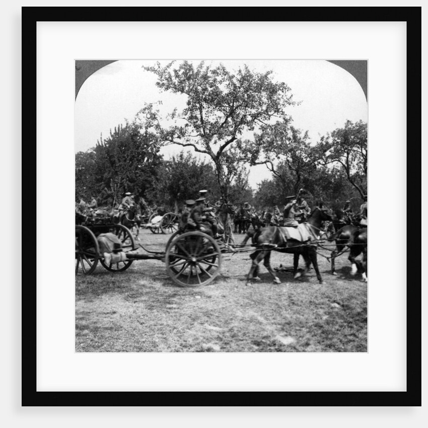 Horse-drawn artillery, World War I by Realistic Travels Publishers